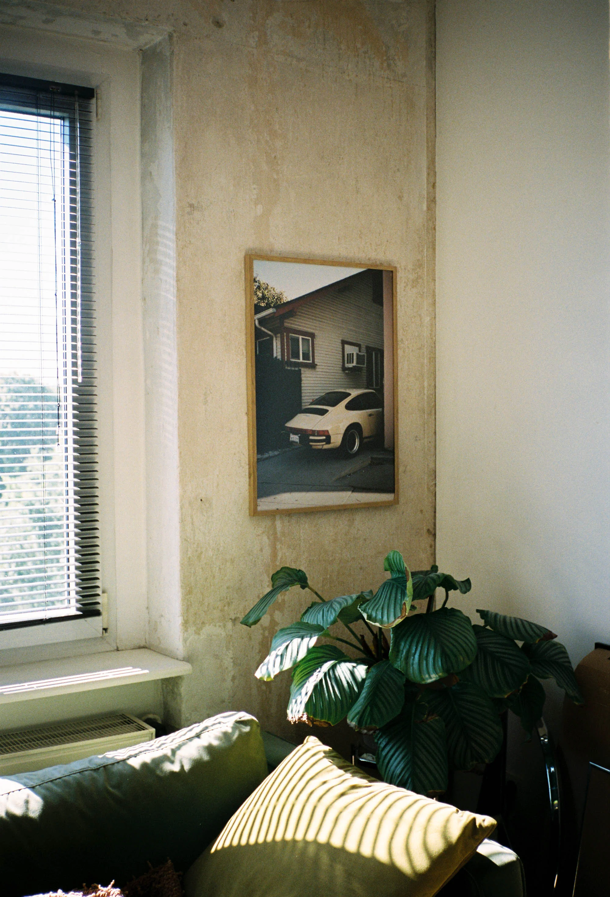 BEYOND LOVE - Image 5