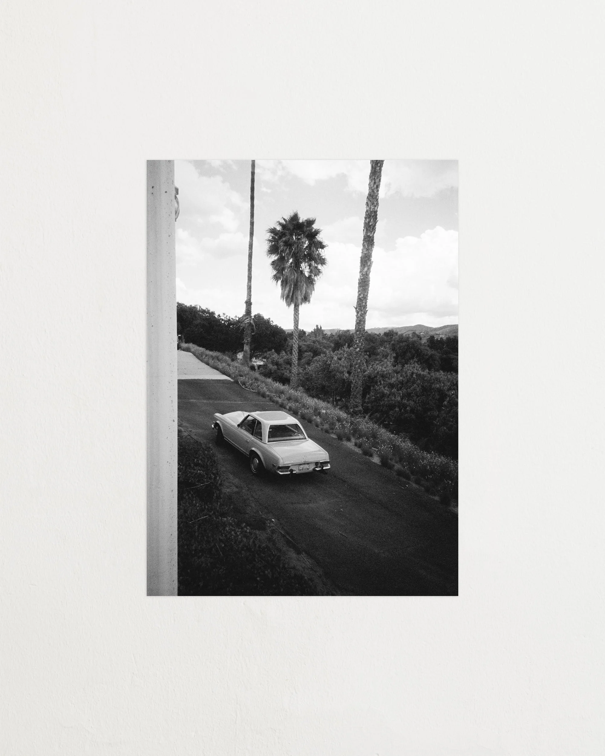 DARK PARADISE - Image 3