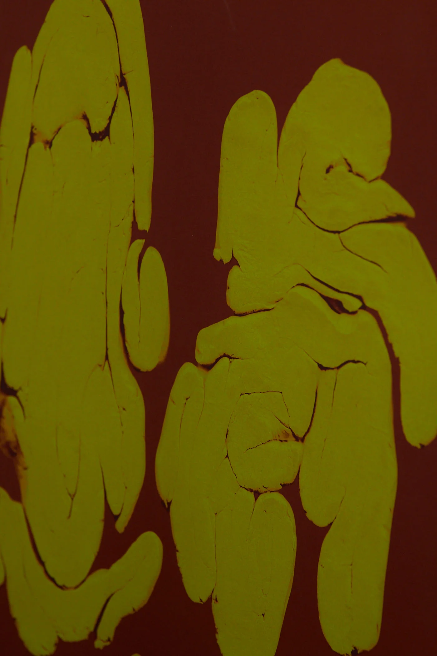 Traces - Image 5